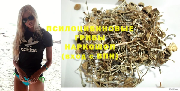 прущий лед Куйбышев