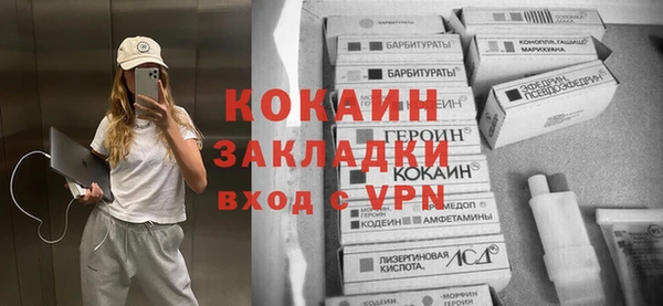 прущие грибы Корсаков
