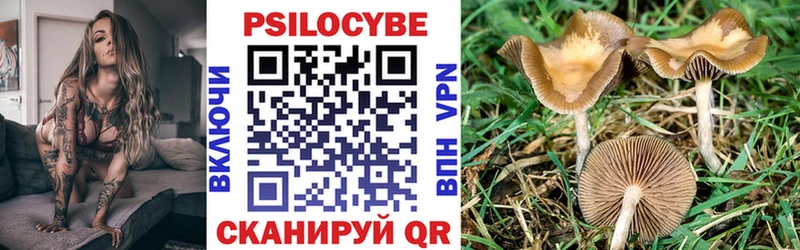 Галлюциногенные грибы MAGIC MUSHROOMS  Удачный 